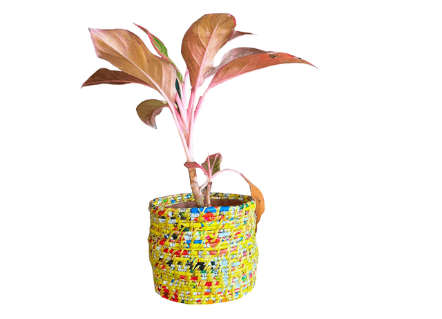 Planter/Basket